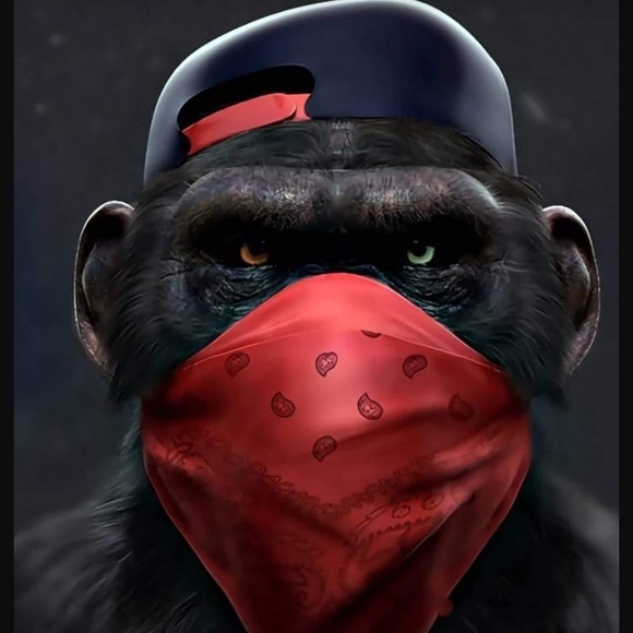 Meet your Posher, Joseph - Picture 1 of 1